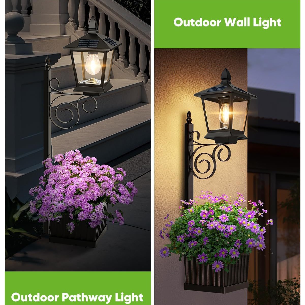 Lampe solaire 2 en 1 pour plan - Wall Decor Lighting avis et prix