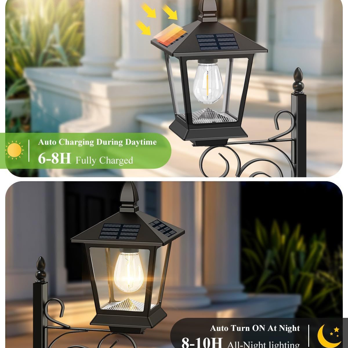 Lampe solaire 2 en 1 pour plan - Wall Decor Lighting avis et prix